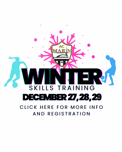 Winter Skills Logo